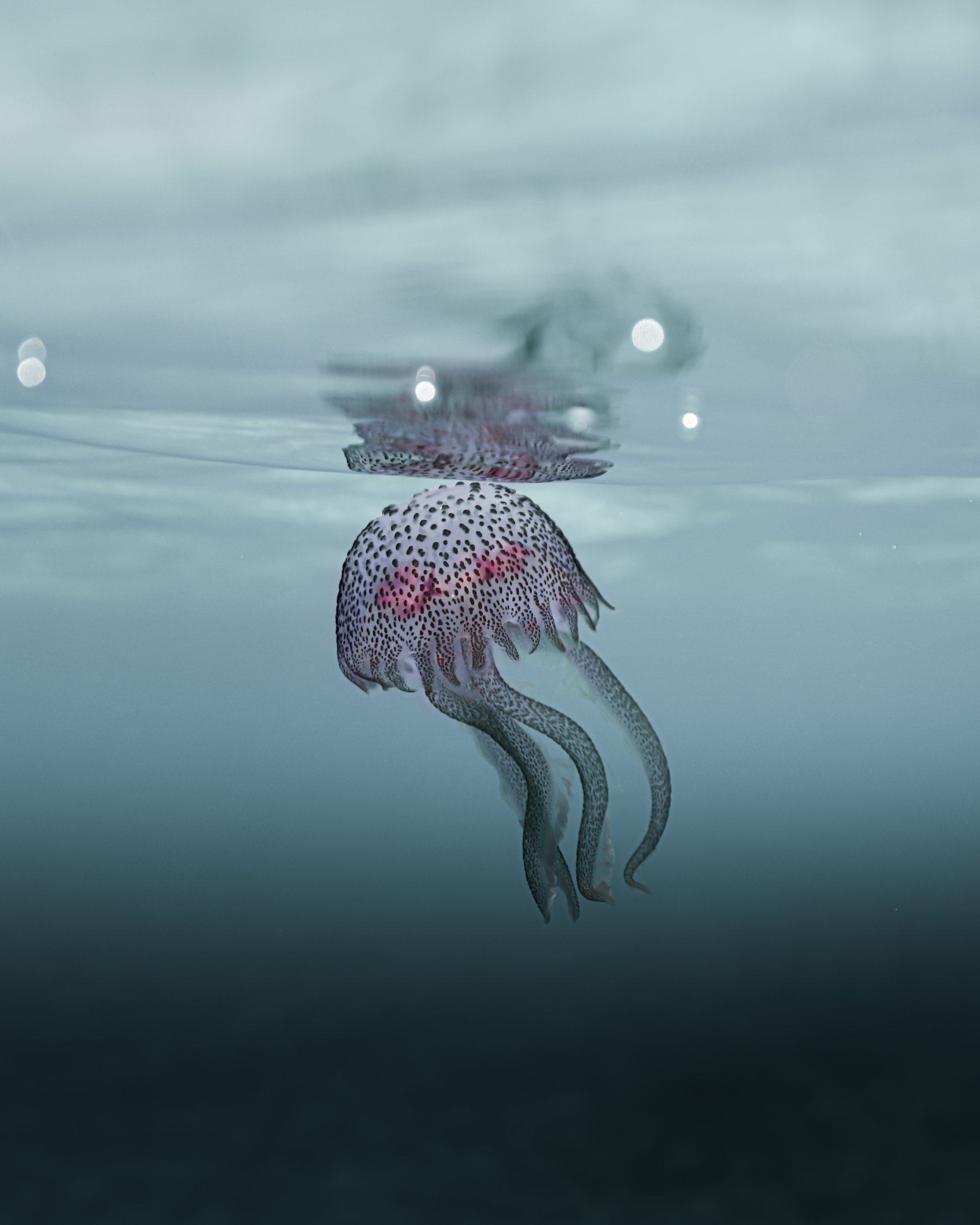 Creatures